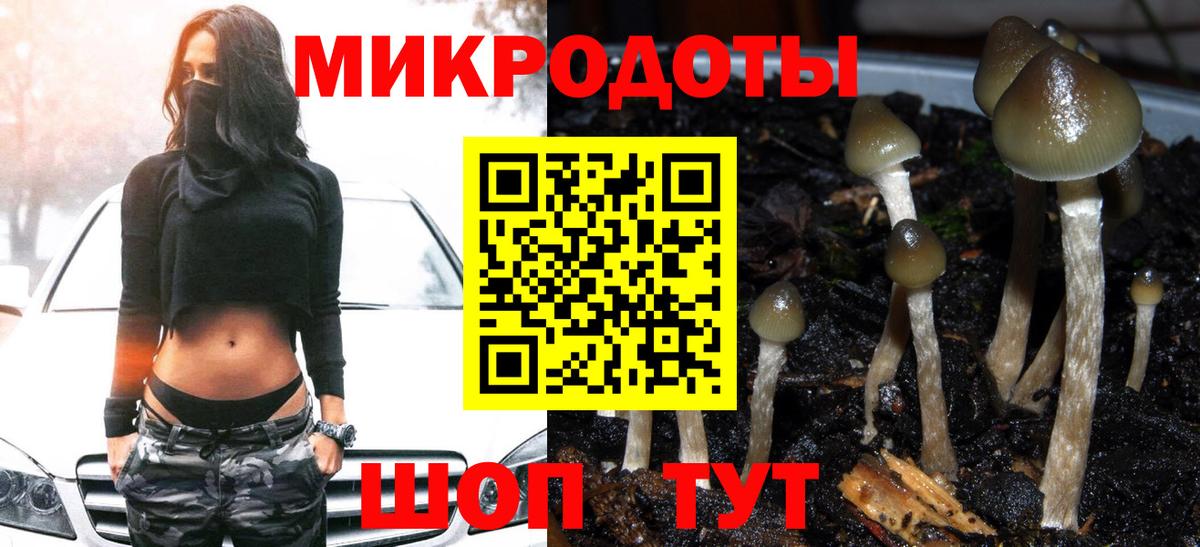 Псилоцибиновые грибы MAGIC MUSHROOMS Елабуга